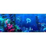 3D Διαδραστικό Ολογραφικό Σύστημα για Εσωτερικούς Χώρους - Image 8