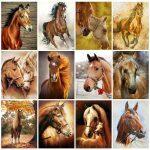 5d Κιτ Σχεδίασης με Διαμάντια – Ζώα - Image 5