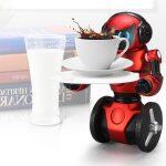 Πολυλειτουργικό Έξυπνο RC Ρομπότ με Ισορροπία σε Δύο Τροχούς