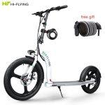 Hi-Flying H100 Αναδιπλούμενο Ηλεκτρικό Σκούτερ με Μεγάλο Τροχό - Image 8