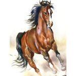 5d Κιτ Σχεδίασης με Διαμάντια – Ζώα - Image 9