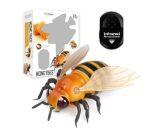 rc honey bee