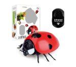 rc ladybug