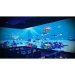 Defi - Διαδραστική Προβολή Δαπέδου και Τοίχου - Image 11