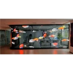 Διαφανές Ολογραφικό Φιλμ Οθόνη για Τζαμαρία (Αυτοκόλλητο) - Image 8