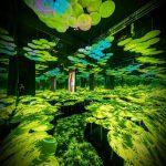 3D Διαδραστικό Ολογραφικό Σύστημα για Εσωτερικούς Χώρους