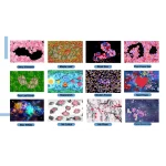 3D Διαδραστικό Σύστημα Προβολής Τοίχου και Δαπέδου με Πολλά Παιχνίδια - Image 13