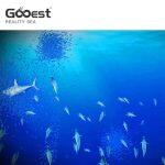 Ρεαλιστική Θάλασσα - Διαδραστική Ψηφιακή Ζωγραφική για Παιδιά – Gooest - Image 3