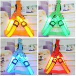 Λουρί LED για Σκύλους που Αναβοσβήνει και Φορτίζει με USB - Image 3