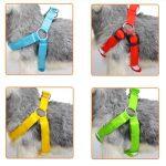 Λουρί LED για Σκύλους που Αναβοσβήνει και Φορτίζει με USB - Image 2