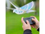 rc swallow bird