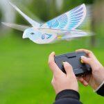 rc swallow bird