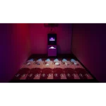 Διαδραστικό Σύστημα με Αθλητικά Παιχνίδια (All-in-One) - Image 2