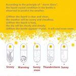 Κρυστάλλινο Μπουκάλι Πρόβλεψης Καιρικών Συνθηκών με Πολύχρωμο Φως LED - Image 7