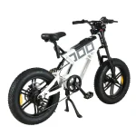 electric bike with a robust detachable battery