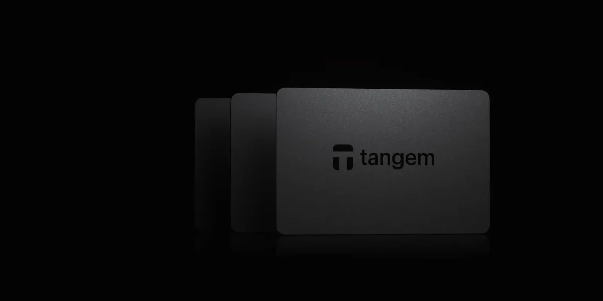 wallet set with three cards