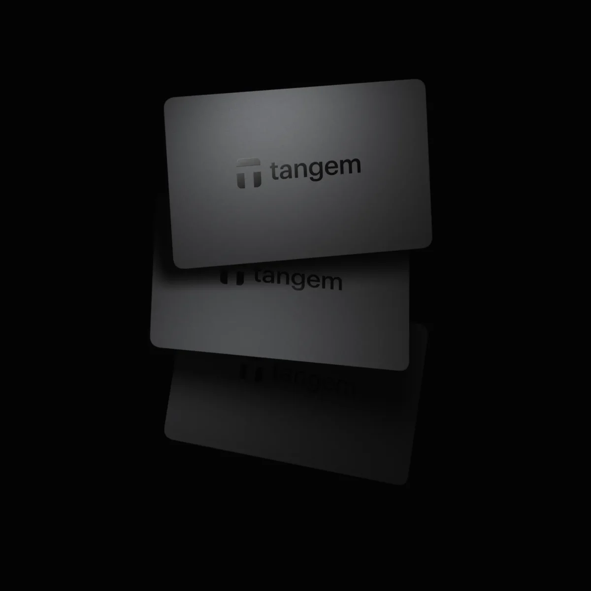 wallet with three cards set