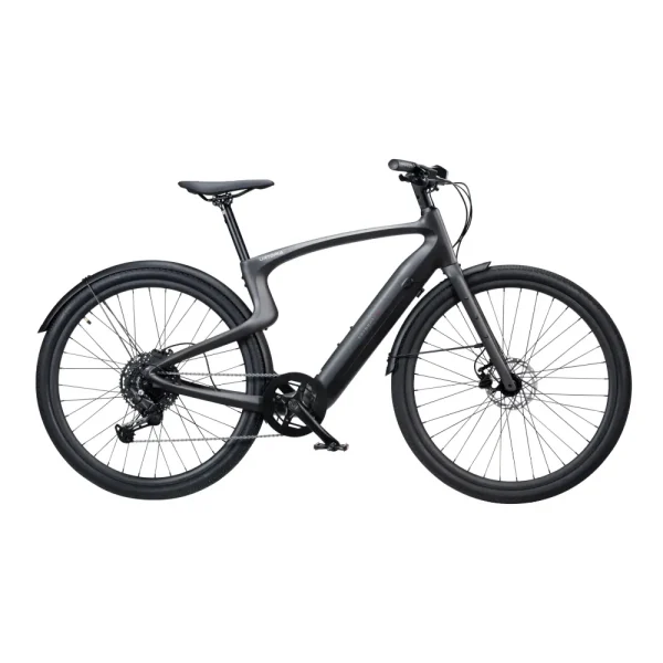 ultra-lightweight electric bike