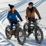 all-terrain electric bike