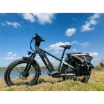 electric bike for campers