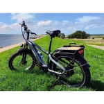 a sturdy cargo electric bike