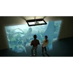 portable holographic wall