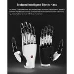 bionic hand with multi-joint coordination