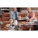 διαδραστικό ρομπότ χάσκι