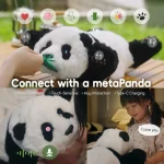 έξυπνος, χαριτωμένος σύντροφος