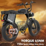Ηλεκτρικό ποδήλατο 750w