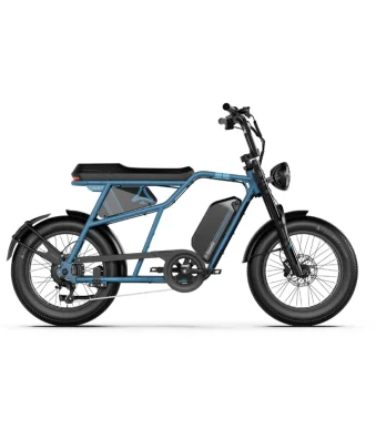 long range electric bike