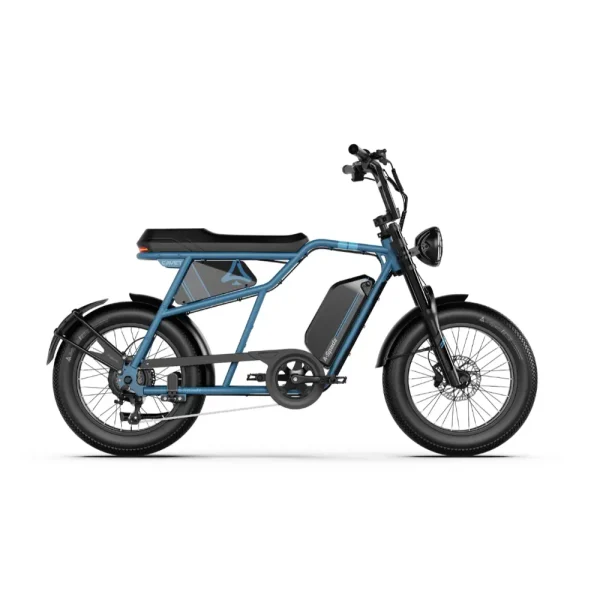 long range electric bike